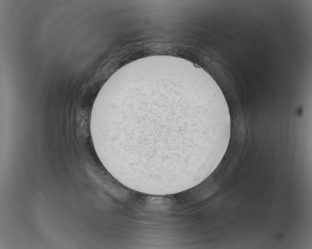 X0000115080234200912081219