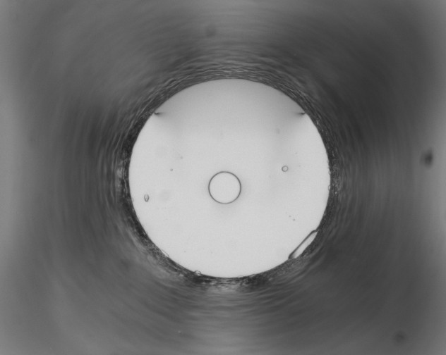 X0000115080235200912081219