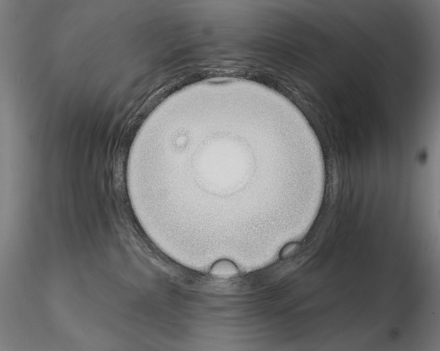 X0000115080236200912081219