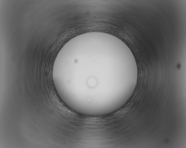 X0000115080237200912081219