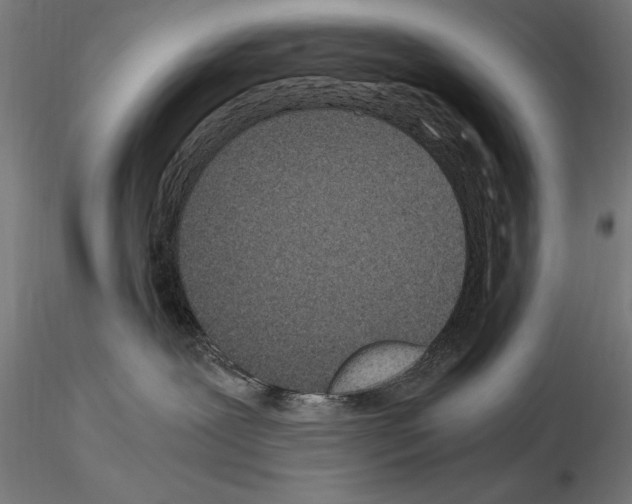 X0000115080239200912081219