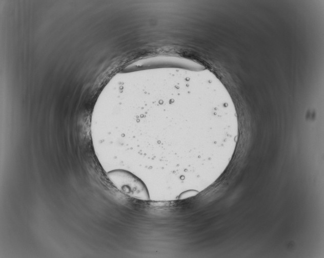 X0000115080240200912081219