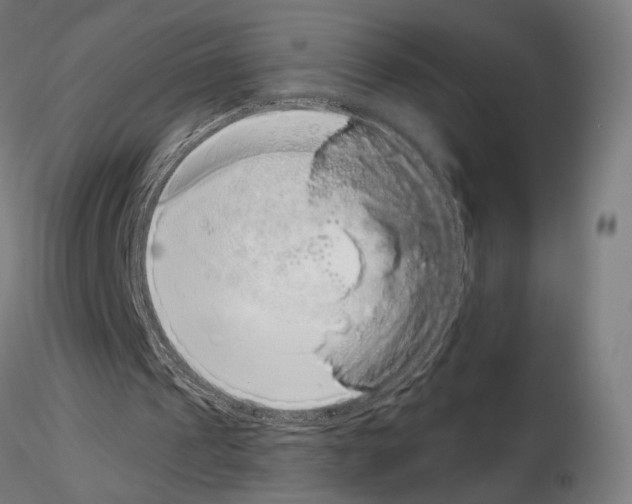 X0000115080241200912081218