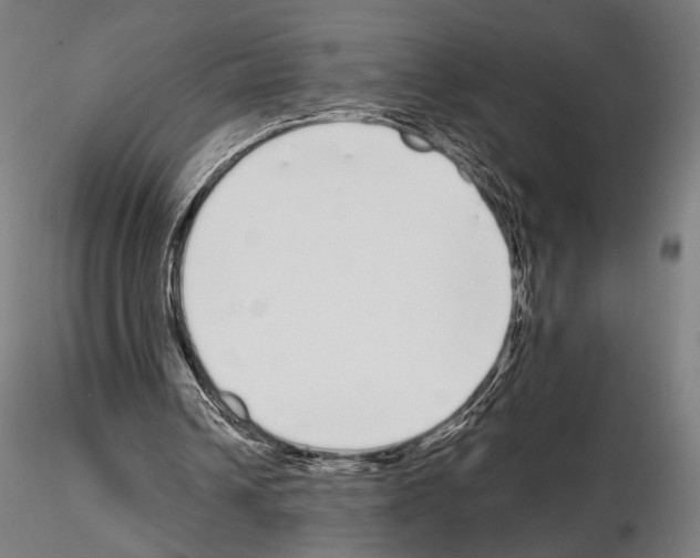 X0000115080242200912081218