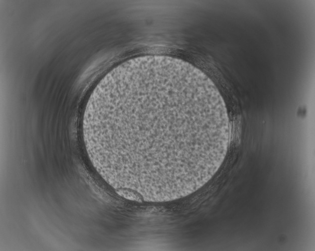 X0000115080243200912081218