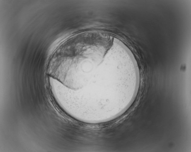 X0000115080245200912081218