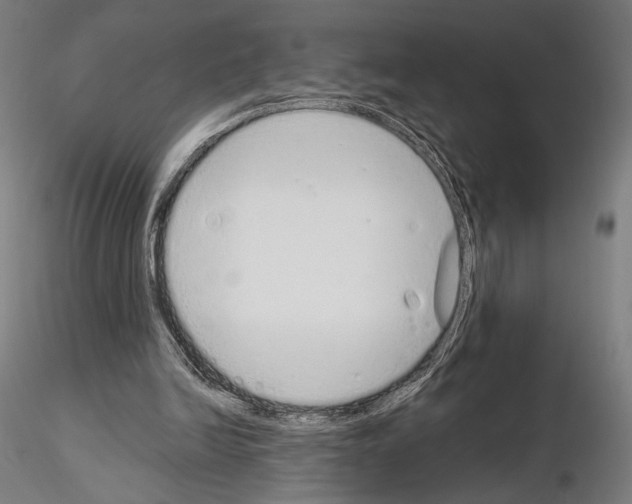 X0000115080246200912081218