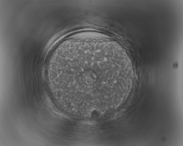 X0000115080247200912081218