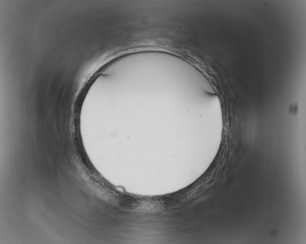 X0000115080248200912081218