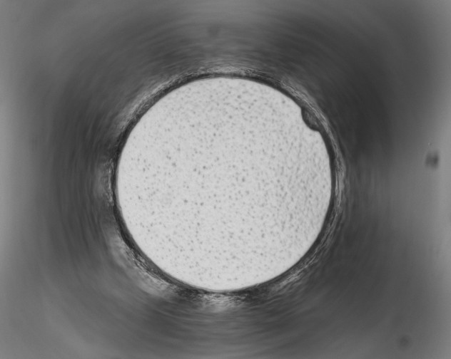 X0000115080249200912081218