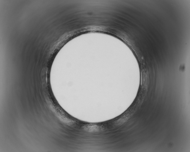 X0000115080253200912081218