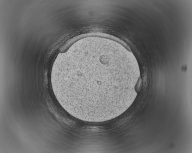 X0000115080254200912081218