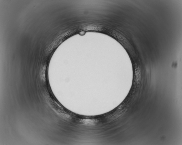 X0000115080255200912081218