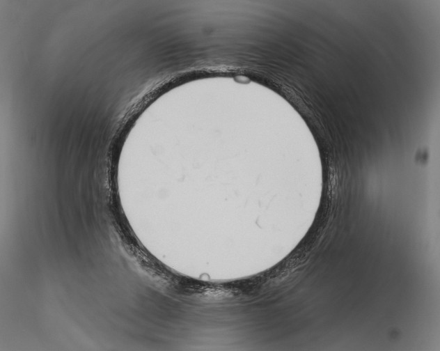 X0000115080256200912081218