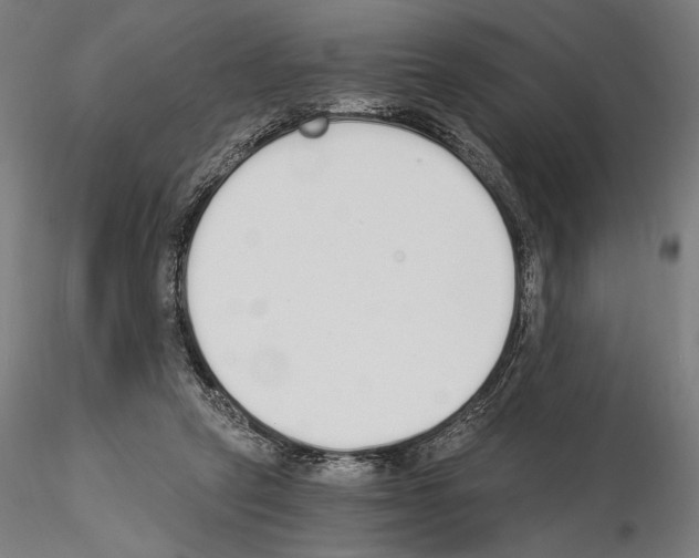 X0000115080257200912081218