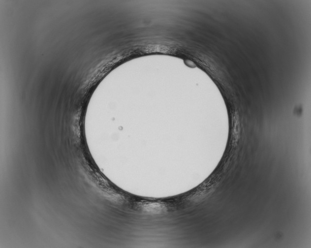 X0000115080258200912081218