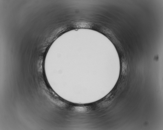 X0000115080259200912081218