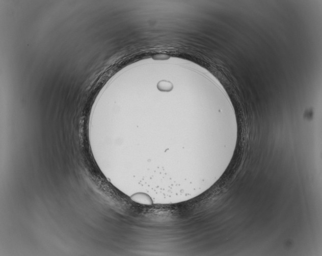 X0000115080260200912081218