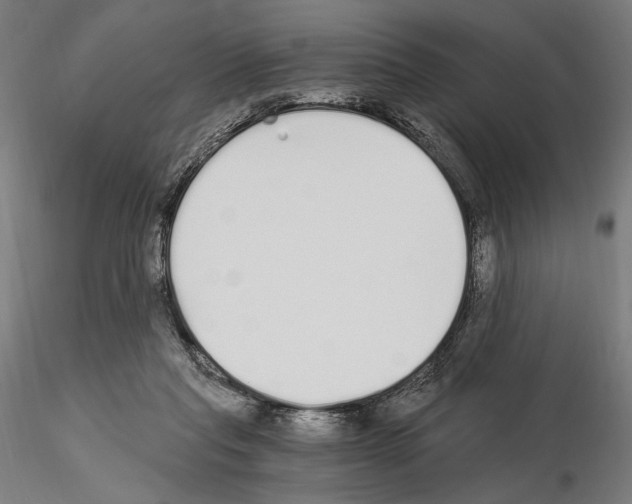 X0000115080261200912081218