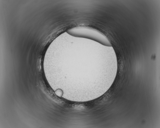 X0000115080262200912081218