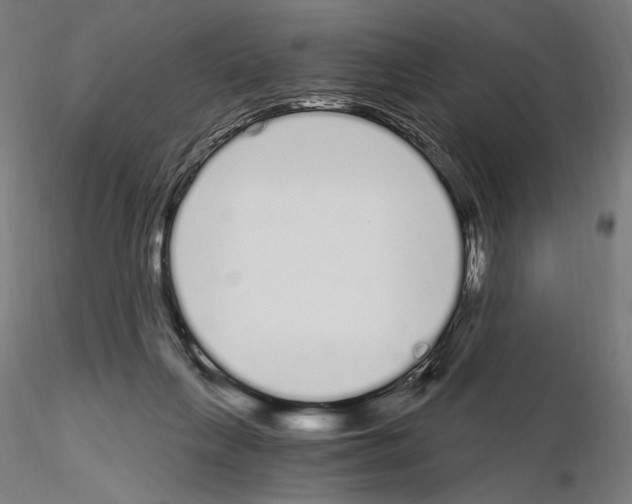 X0000115080263200912081218