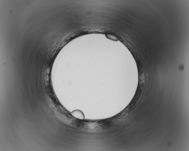 X0000115080264200912081218