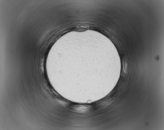 X0000115080267200912081218