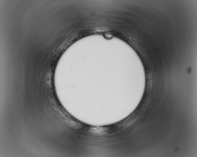 X0000115080269200912081218