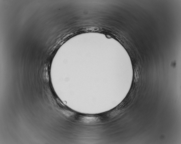 X0000115080270200912081218