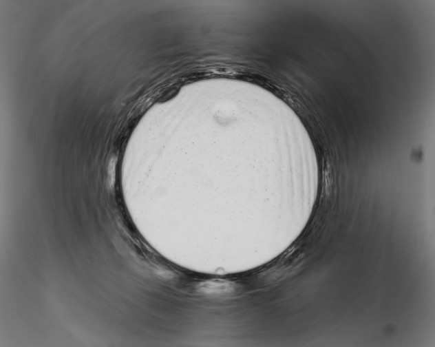 X0000115080271200912081218