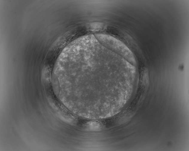 X0000115080272200912081218