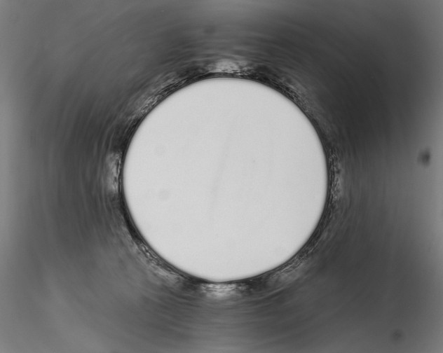 X0000115080273200912081218