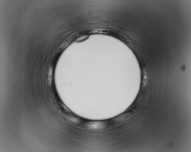 X0000115080275200912081218