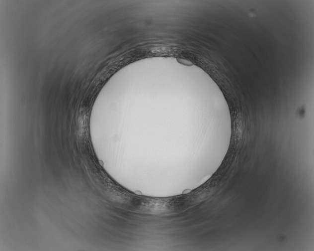 X0000115080276200912081218