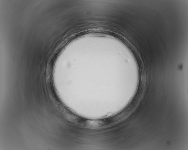 X0000115080277200912081218