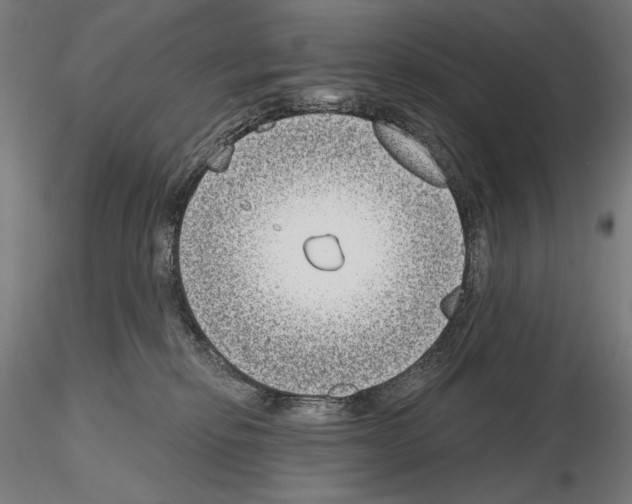 X0000115080278200912081218