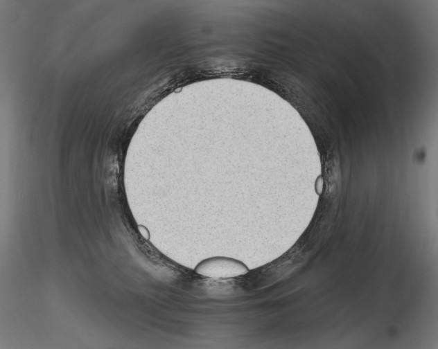 X0000115080279200912081218