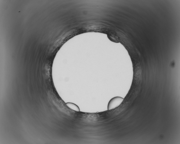 X0000115080282200912081219