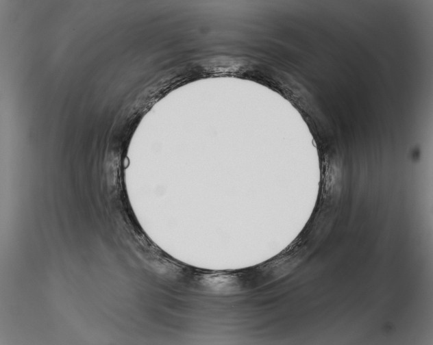 X0000115080283200912081219