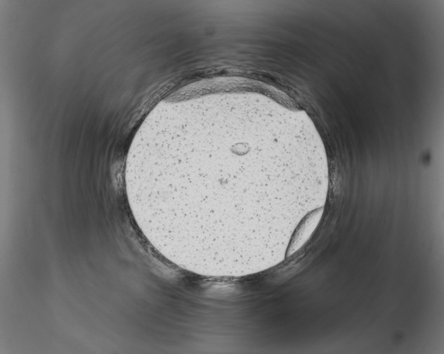 X0000115080285200912081219