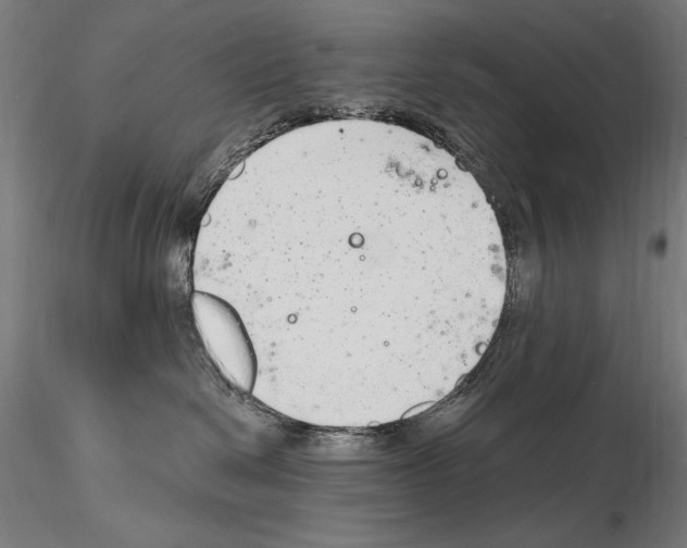 X0000115080286200912081219