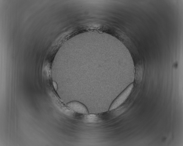 X0000115080287200912081219