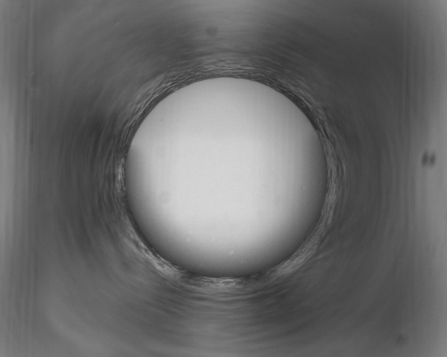 X0000115080288200912081219