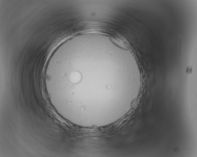 X0000115080289200912081218