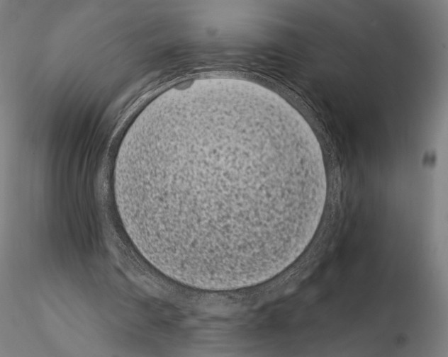 X0000115080290200912081218