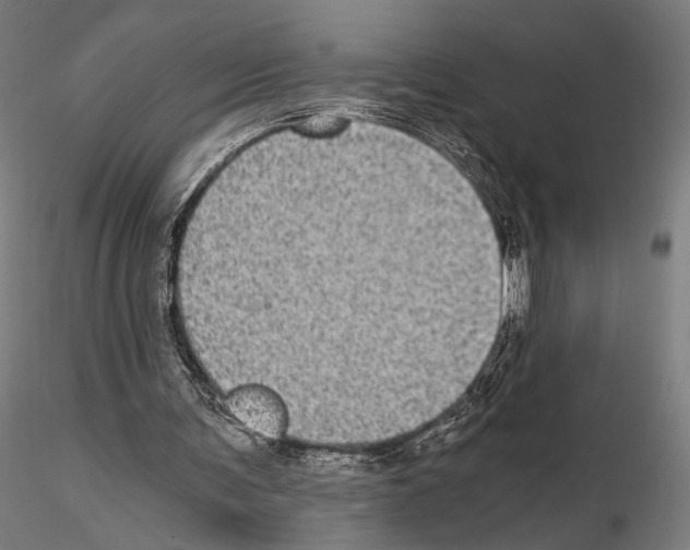 X0000115080291200912081218