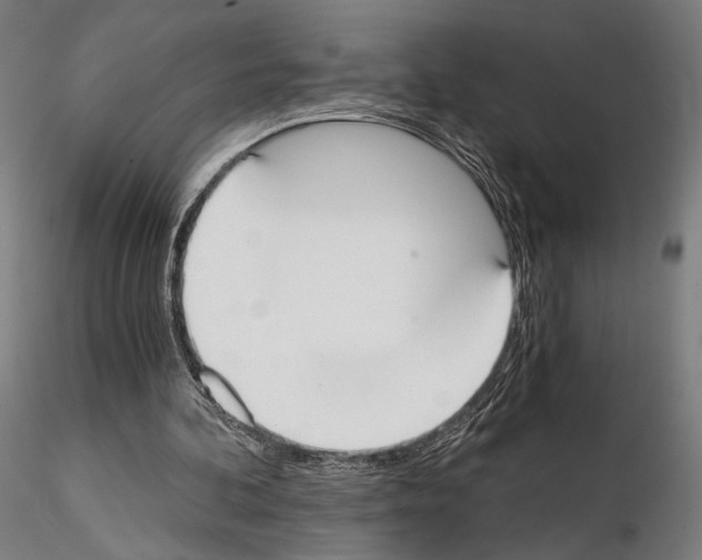 X0000115080292200912081218