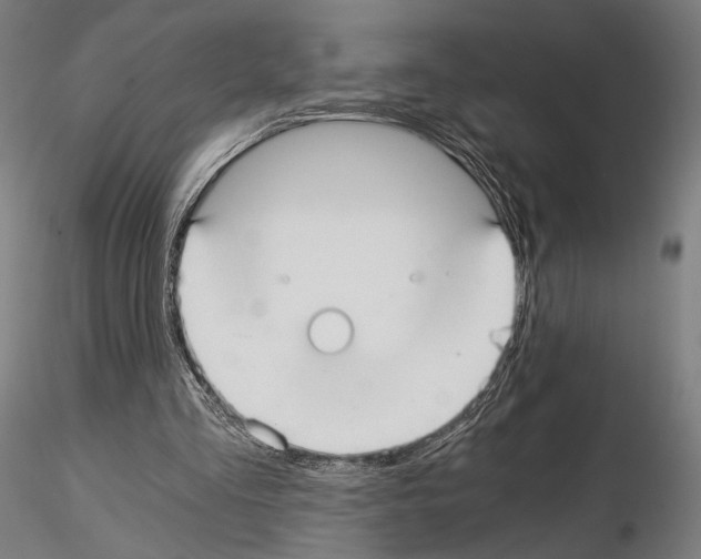 X0000115080293200912081218