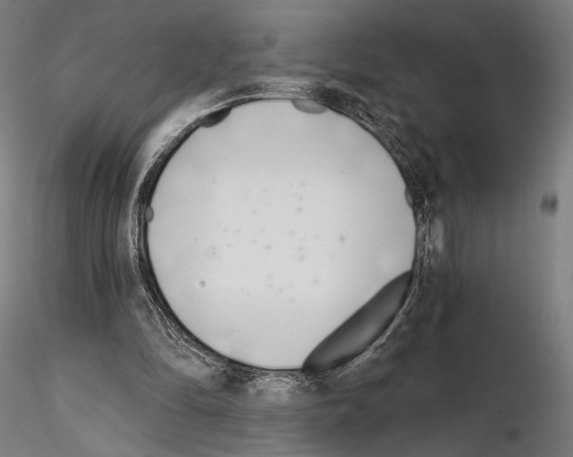 X0000115080294200912081218