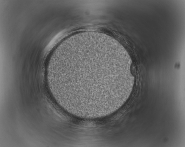 X0000115080295200912081218